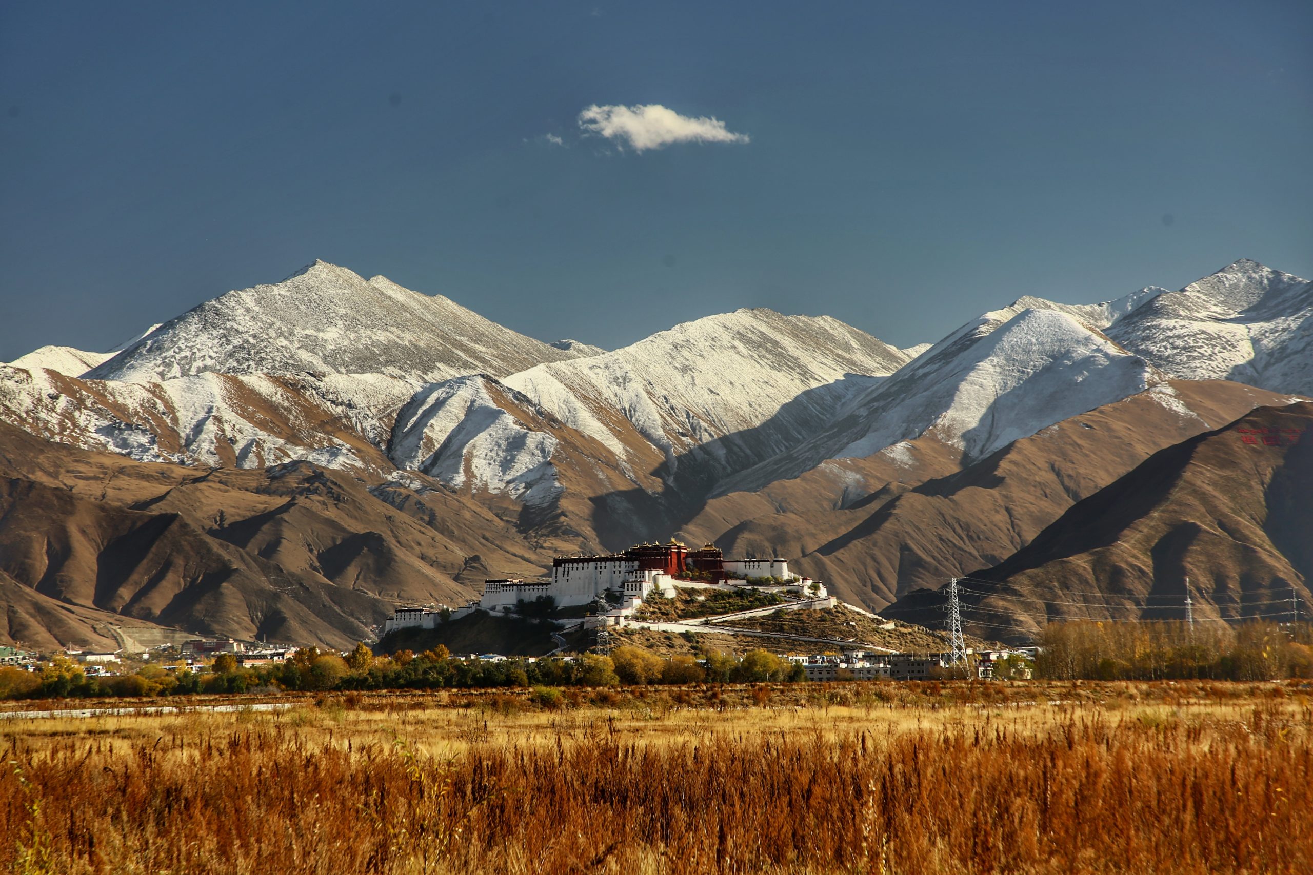 Lhasa City View 