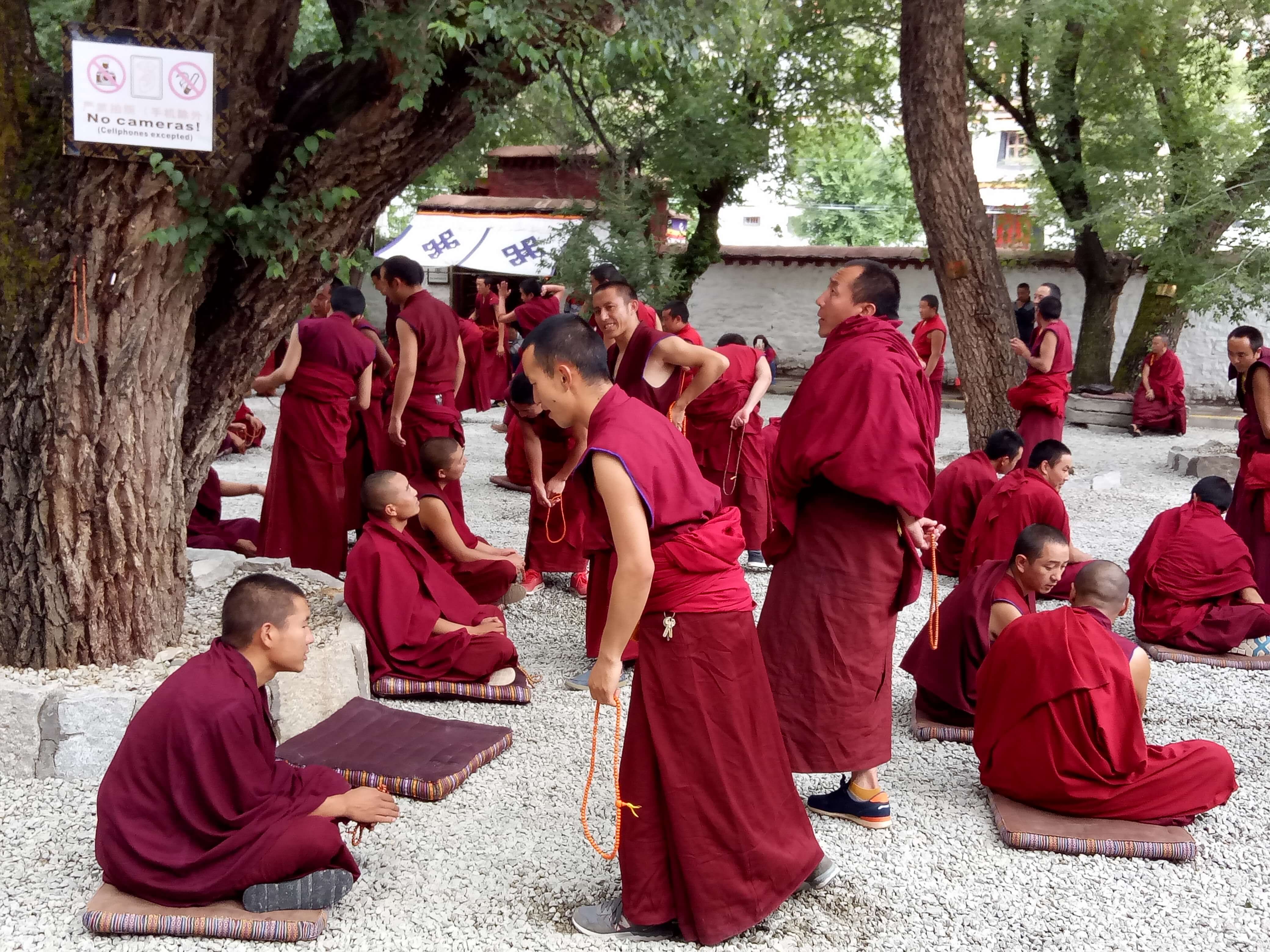 Sera Monastery monks debate 