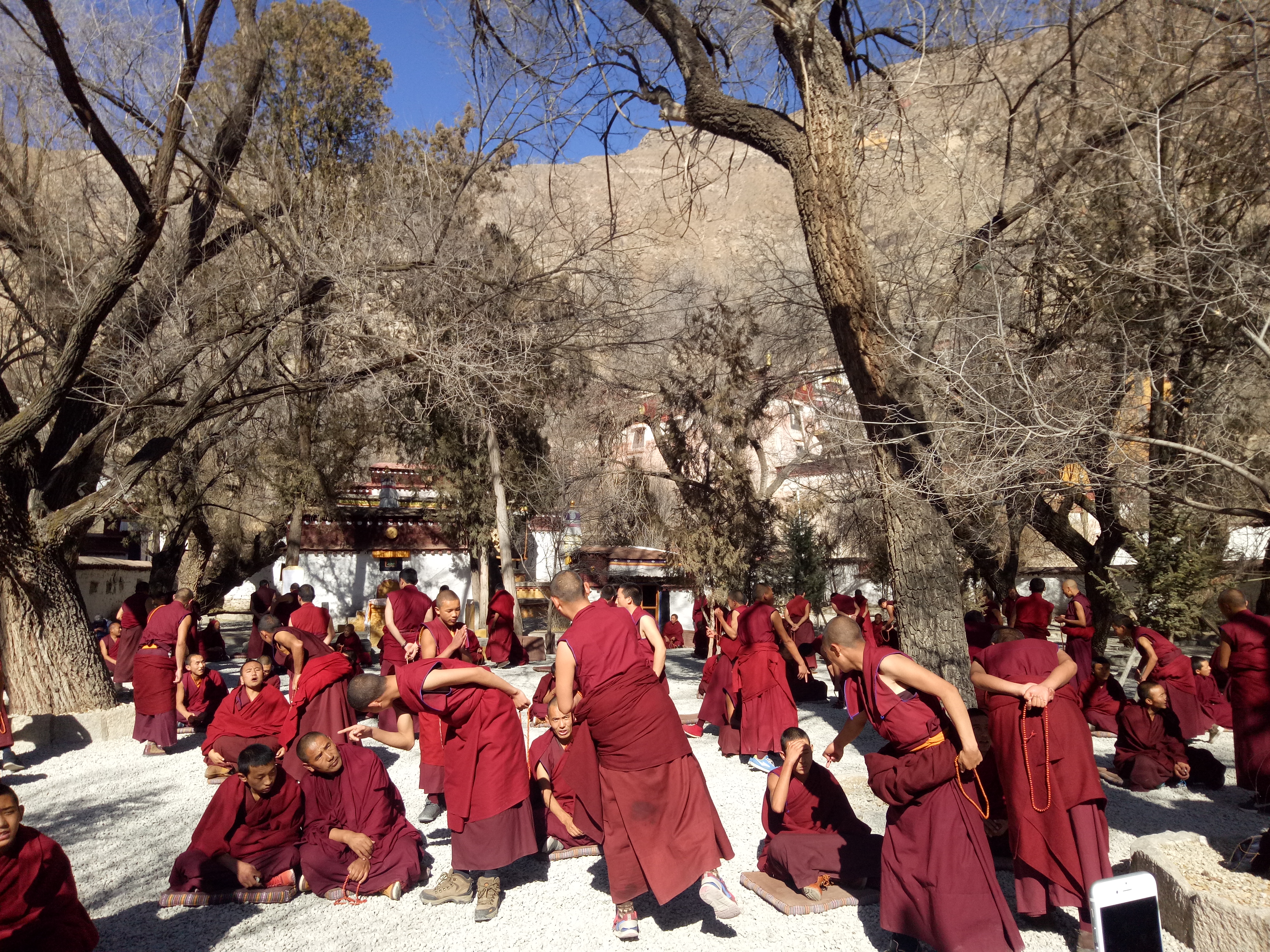 Sera Monastery monks debate 